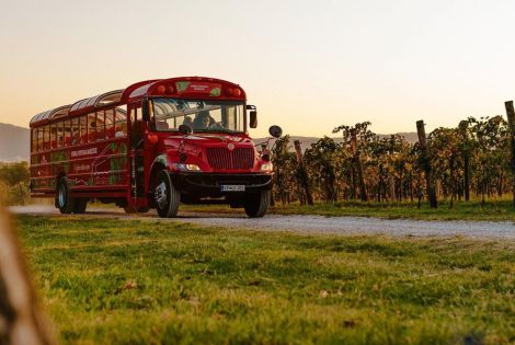 Along the wine route with the wine bus